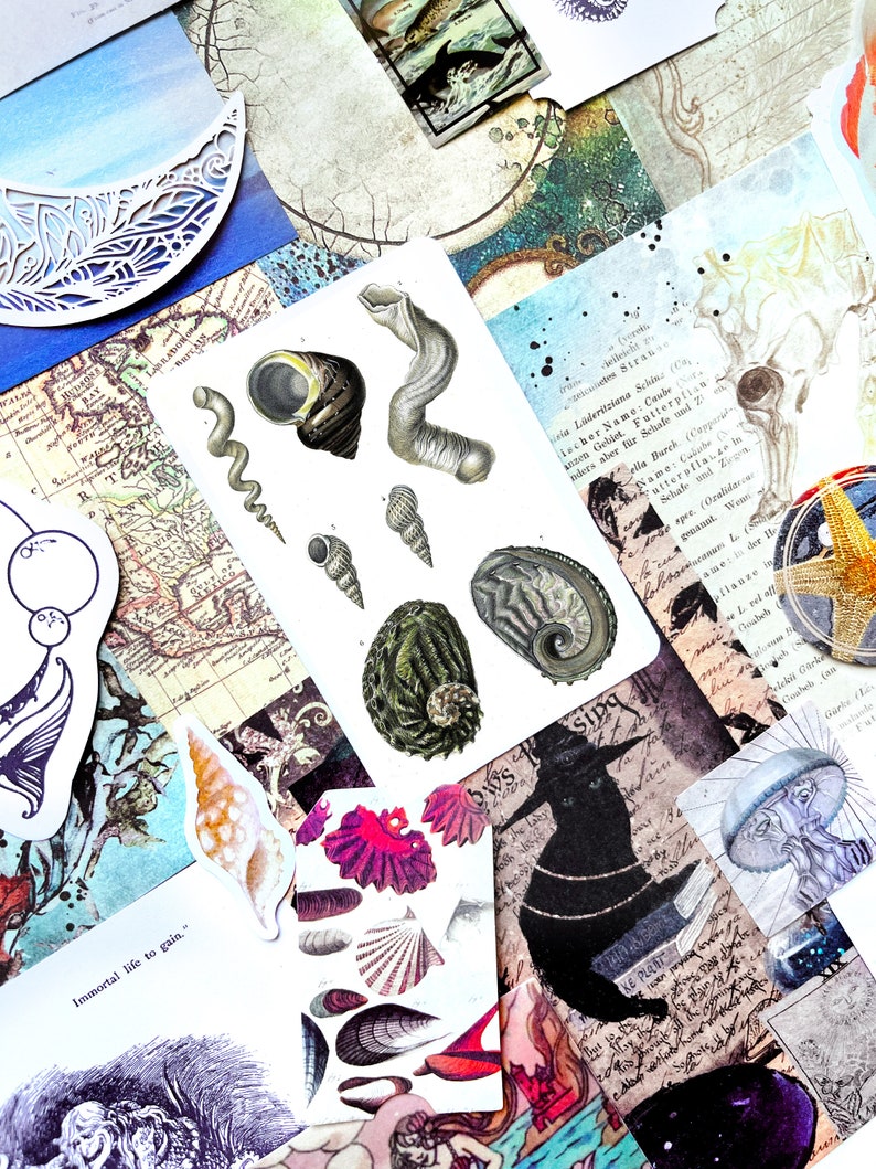 May include: A collection of vintage ephemera, including illustrations of seashells, maps, and botanical drawings. The colour scheme features blues, browns, and greens. Stickers and cut-out designs add a layered effect to the collage.