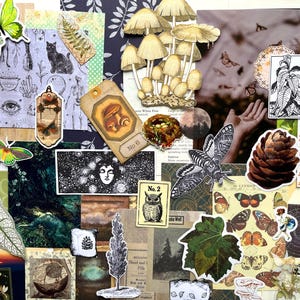May include: A collage of paper ephemera featuring botanical and woodland imagery, including illustrations of mushrooms, butterflies, moths, a pinecone, an owl, a deer, and various vintage-style prints with text labels like No. 2 and No. 6.