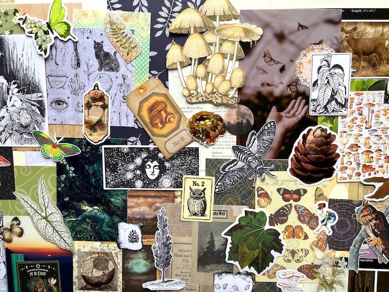 May include: A collage of paper ephemera featuring botanical and woodland imagery, including illustrations of mushrooms, butterflies, moths, a pinecone, an owl, a deer, and various vintage-style prints with text labels like No. 2 and No. 6.