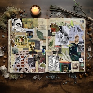 May include: An open scrapbook featuring a collage of nature-themed paper cutouts, including illustrations of a frog, mushrooms, butterflies, an owl, and botanical elements. The pages are filled with various textures, dark green and brown tones, and vintage-style prints.