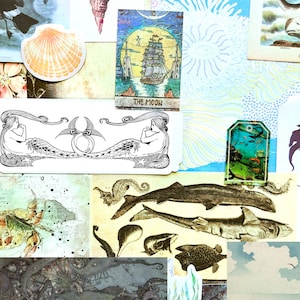 May include: A collage featuring marine illustrations and ephemera. It includes a seashell, a tarot card depicting a ship, a seahorse, and various fish and sea creatures. The colour scheme is predominantly blues, greens, and beige, with pink and black accents.