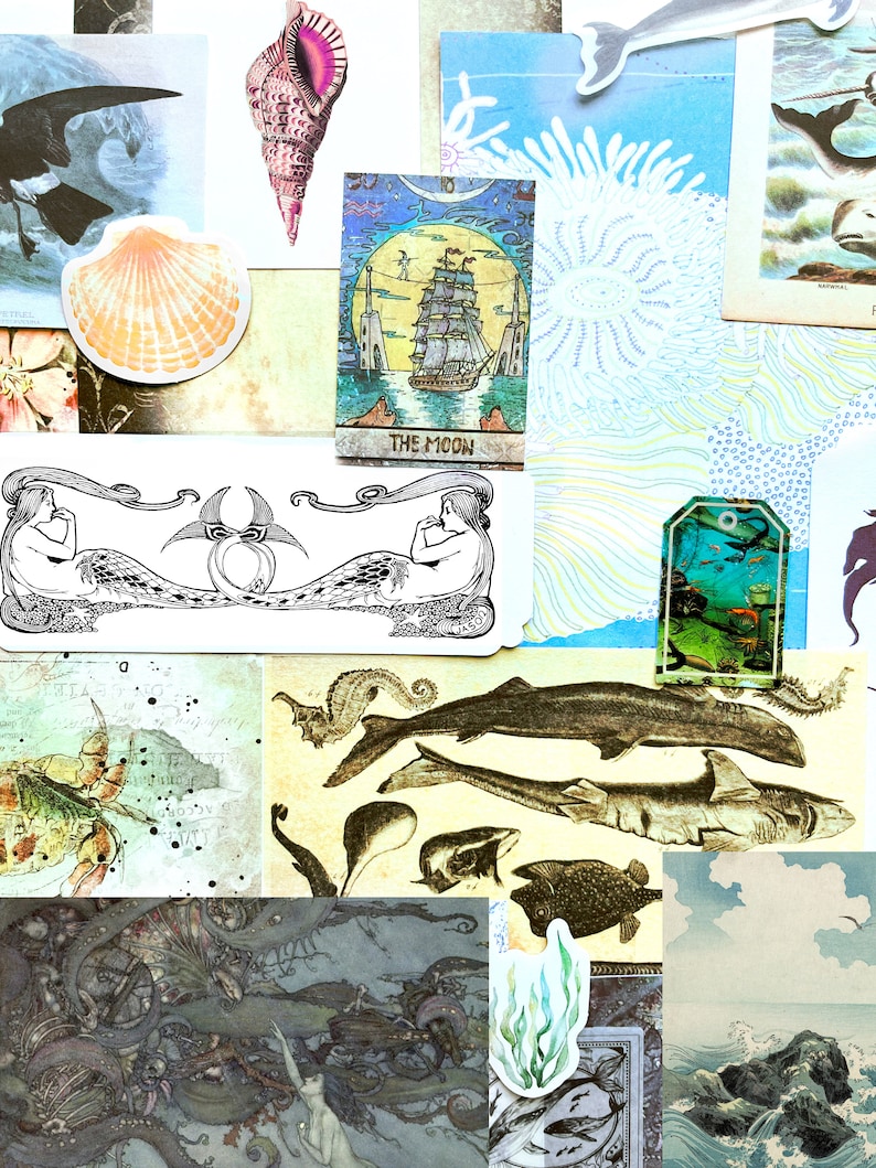 May include: A collage featuring marine illustrations and ephemera. It includes a seashell, a tarot card depicting a ship, a seahorse, and various fish and sea creatures. The colour scheme is predominantly blues, greens, and beige, with pink and black accents.