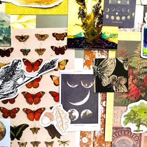 May include: A collection of assorted paper ephemera including stickers and prints featuring a witch on a broomstick, various butterflies, a skull in a bottle, moon phases, an acorn with an oak leaf, a green tree, and a bird in a circular frame.