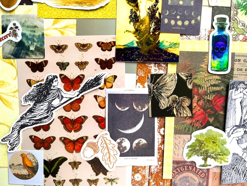 May include: A collection of assorted paper ephemera including stickers and prints featuring a witch on a broomstick, various butterflies, a skull in a bottle, moon phases, an acorn with an oak leaf, a green tree, and a bird in a circular frame.