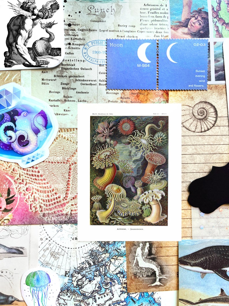 May include: A collage of vintage ephemera including illustrations of marine life, maps, and botanical prints. A blue postage stamp with crescent moons and the text "Moon" and "Sunset evening wind and flowers" is also included.