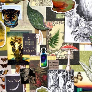 May include: A collage of various paper ephemera featuring a green frog wearing a gold crown, a detailed owl face, a skull in a blue potion bottle, a red mushroom, botanical leaf cutouts, moon phases, and black and white illustrations of figures.