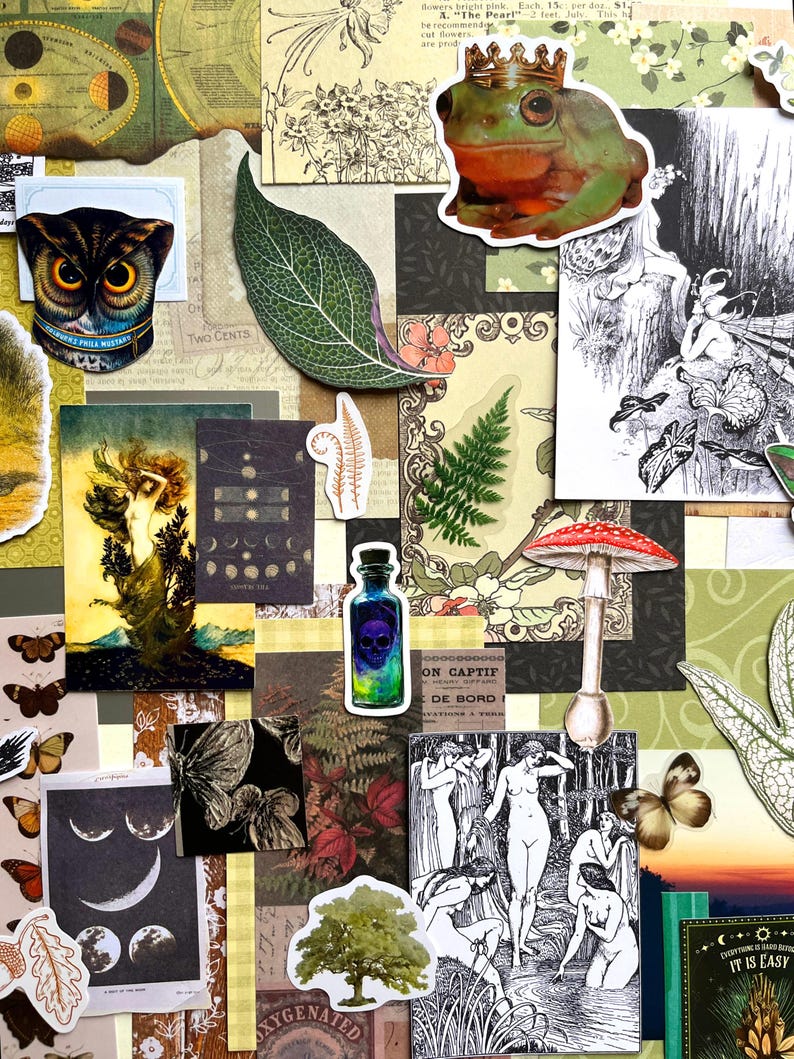 May include: A collage of various paper ephemera featuring a green frog wearing a gold crown, a detailed owl face, a skull in a blue potion bottle, a red mushroom, botanical leaf cutouts, moon phases, and black and white illustrations of figures.