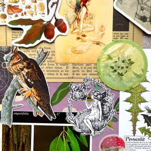 May include: A collection of decorative stickers and paper ephemera featuring a brown owl on a branch, two acorns, a fairy with wings, a black and white fairy illustration, a green floral circle, a red mushroom, and botanical plant prints.