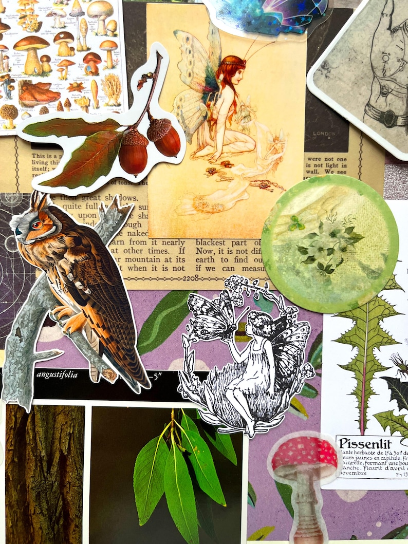 May include: A collection of decorative stickers and paper ephemera featuring a brown owl on a branch, two acorns, a fairy with wings, a black and white fairy illustration, a green floral circle, a red mushroom, and botanical plant prints.