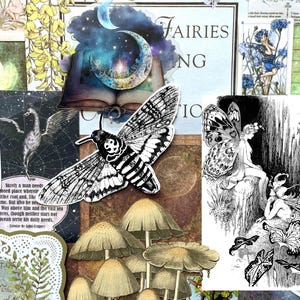 May include: A collage of paper ephemera featuring a black and white moth, a cluster of tan mushrooms, a crescent moon over an open book, and illustrations of fairies. The text FAIRIES and NG are visible on a cream background with botanical accents.