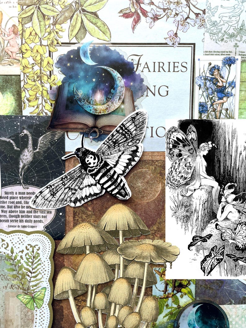 May include: A collage of paper ephemera featuring a black and white moth, a cluster of tan mushrooms, a crescent moon over an open book, and illustrations of fairies. The text FAIRIES and NG are visible on a cream background with botanical accents.