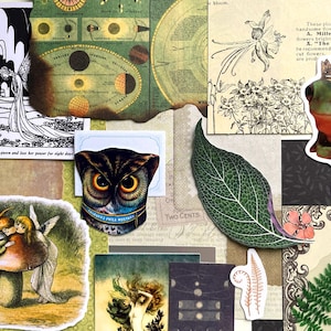 May include: A collection of decorative paper ephemera featuring a green frog wearing a gold crown, a detailed owl face, a large green leaf, a vintage illustration of two figures on a mushroom, botanical sketches, and celestial diagrams.