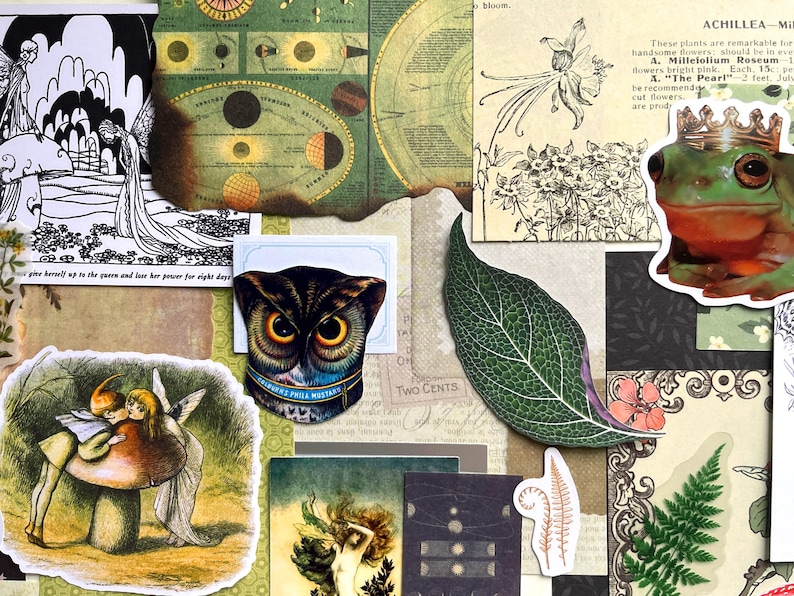 May include: A collection of decorative paper ephemera featuring a green frog wearing a gold crown, a detailed owl face, a large green leaf, a vintage illustration of two figures on a mushroom, botanical sketches, and celestial diagrams.