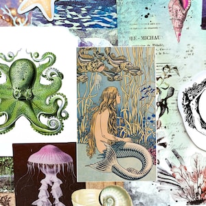 May include: A collage with illustrations of marine life, including a starfish, octopus, mermaid, jellyfish, and seashell. The background has a watercolor effect in blue and purple tones, with some text. The overall theme is nautical.