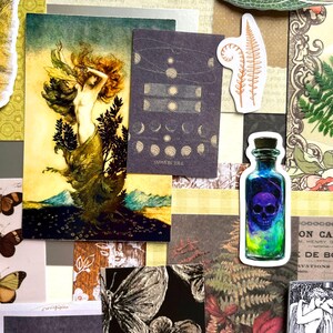 May include: A collection of decorative paper ephemera featuring a central illustration of a figure with flowing hair, a dark rectangular card with moon phases and the text THE SEASONS, a sticker of a skull in a glass bottle, and butterfly imagery.