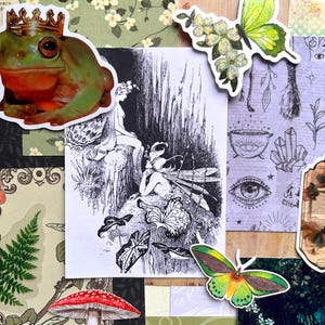 May include: A collection of stickers and paper ephemera featuring a green frog wearing a gold crown, a black and white illustration of fairies, two colorful butterflies, a red mushroom, a fern, and mystical symbols on a purple background.