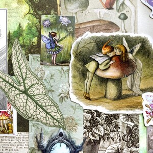May include: A collection of paper ephemera featuring various illustrations including fairies, a large mushroom with two figures, a detailed leaf cutout, botanical prints, and vintage-style drawings in shades of green, brown, and soft pastels.