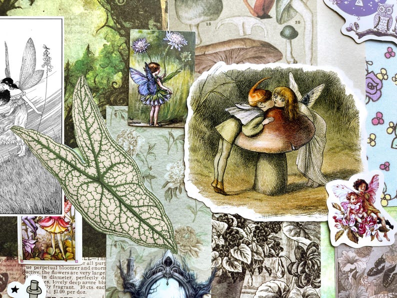May include: A collection of paper ephemera featuring various illustrations including fairies, a large mushroom with two figures, a detailed leaf cutout, botanical prints, and vintage-style drawings in shades of green, brown, and soft pastels.