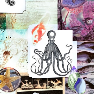 May include: A collage featuring marine life illustrations and stickers. It includes a detailed black and white seahorse, a goldfish, an octopus, a starfish, and images of other sea creatures. The background has vintage-style textures and colours.