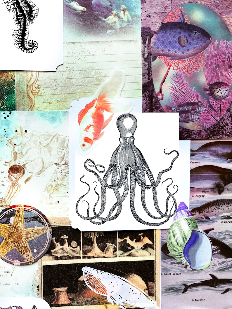 May include: A collage featuring marine life illustrations and stickers. It includes a detailed black and white seahorse, a goldfish, an octopus, a starfish, and images of other sea creatures. The background has vintage-style textures and colours.