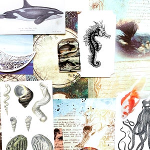 May include: A collage of vintage illustrations and ephemera featuring marine life. Includes a black and white orca, seahorse, seashells, and a goldfish. The background has a map, a crescent moon cutout, and other aged paper elements.