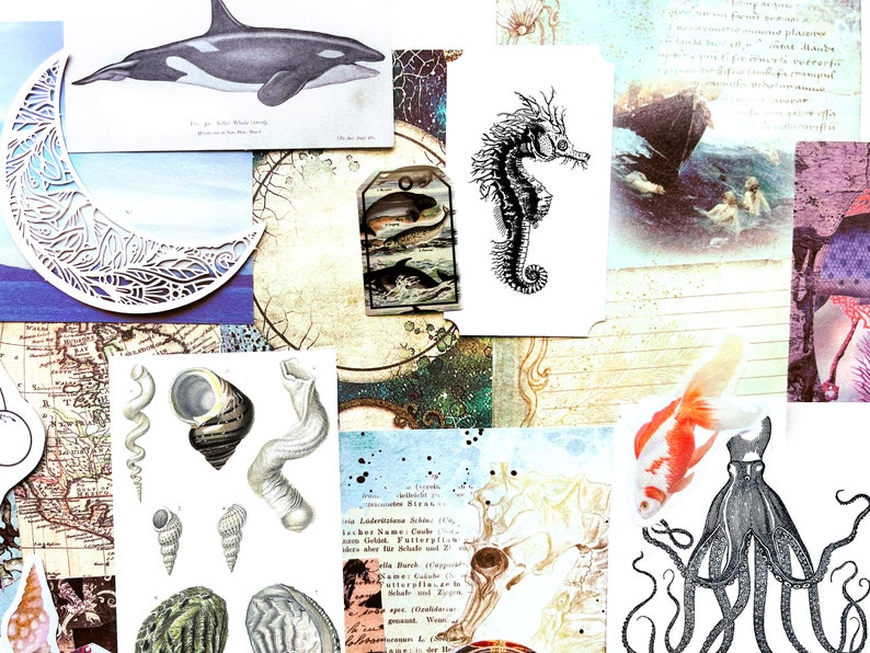 May include: A collage of vintage illustrations and ephemera featuring marine life. Includes a black and white orca, seahorse, seashells, and a goldfish. The background has a map, a crescent moon cutout, and other aged paper elements.