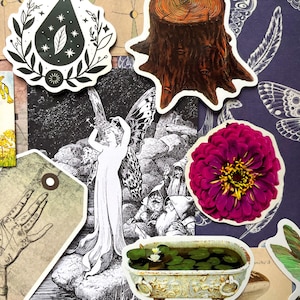 May include: A collection of stickers featuring a black teardrop with stars and leaves, a brown tree stump, a vibrant magenta zinnia flower, a clawfoot bathtub filled with lily pads, and a black and white illustration of a winged figure with gnomes.