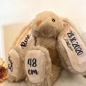 Personalized rabbit plush with first name, date, time, weight, size, birth, baptism, Christmas or birthday gift