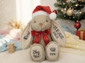 Personalized plush rabbit with name, date, time, weight, height, birth weight, Christmas or birthday gift, party favor, craft, ornament, home decor