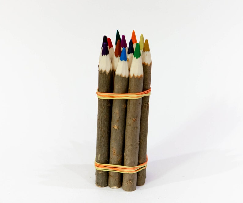 Montessori 12 Twig Pencil Crayons / Colouring Pencils / Etsy