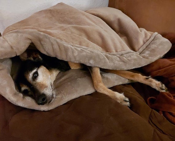 Fleece bed in a bag sale