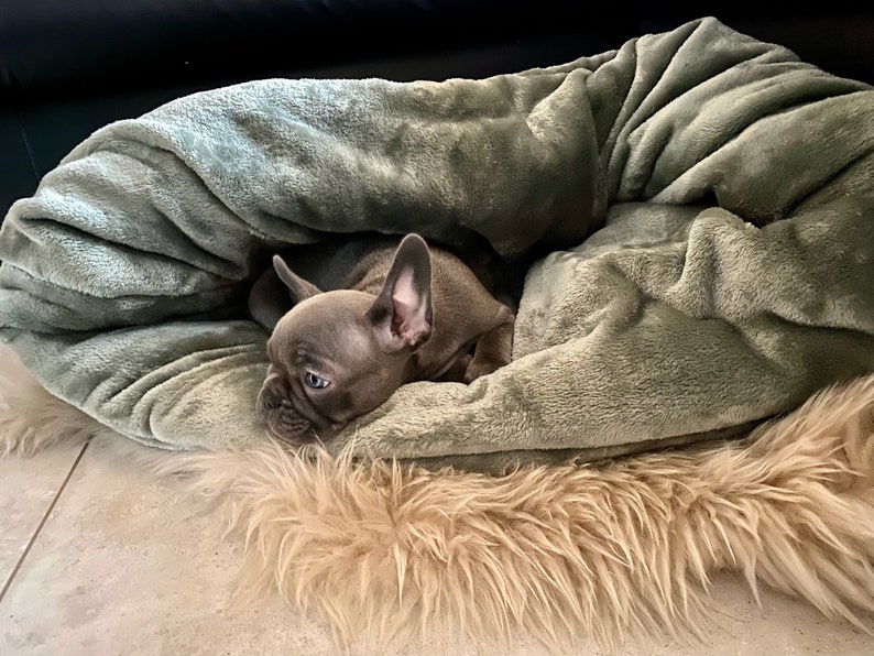 CUDDLY BAG KENNY khaki-light-khaki made of corduroy with wellness fleece, sleeping bag, dog basket, dog bed, dog cave image 3