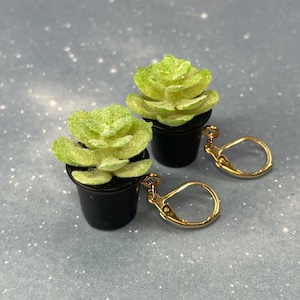 Op de afbeelding: Een paar gouden creolen met groene succulenten in zwarte potten die eraan hangen.