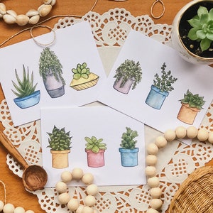 Lot de 3 mini succulentes toutes occasions cartes de vœux | Ensemble vierge de 3 cartes de vœux | Mini art mural succulent | Cartes de fleurs pour la fête des mères