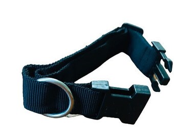 magnetic dog collar