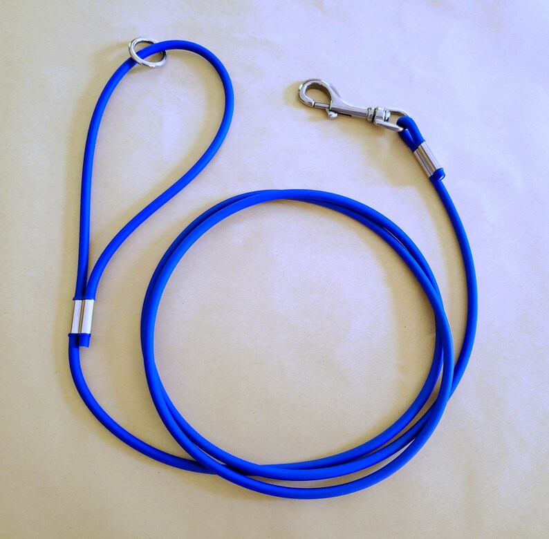 Dog Leash With Handle and Oring 1/4 Round Biothane Etsy