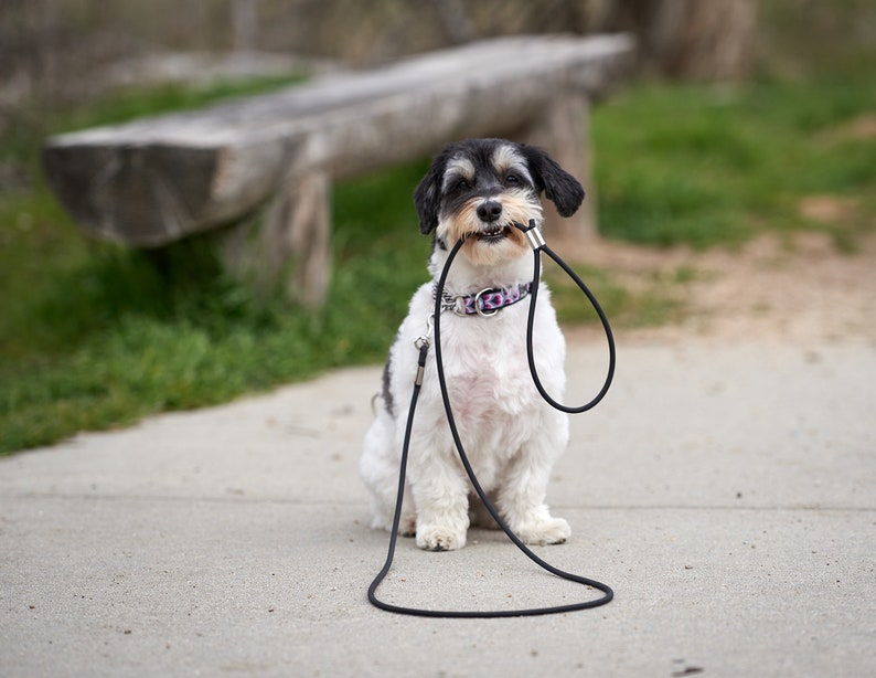 Drag Line 1/4 Round Biothane 933 feet Dog Long Line Etsy