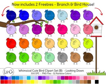 Rainbow Bird-clipart: grillige png-bestanden (digitale download)