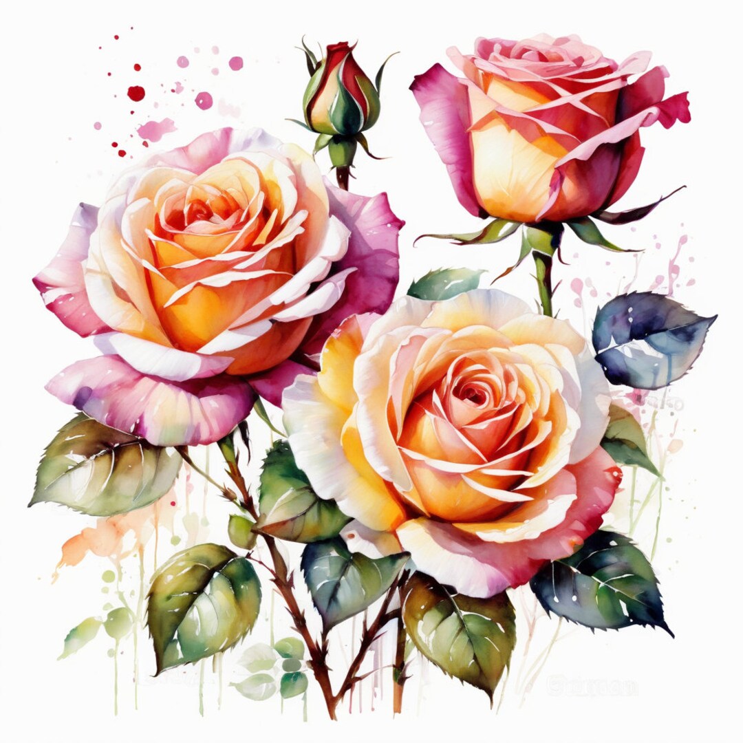 Watercolour Roses Clipart, 20 Designs High Quality for Cards Making ...