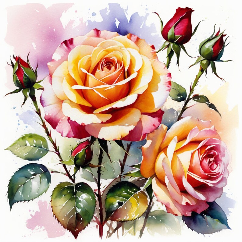 Watercolour Roses Clipart, 20 Designs High Quality for Cards Making ...