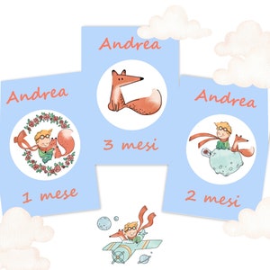 Card NASCITA PICCOLO PRINCIPE - carte primi mesi del bambino - card compi mese - mese per mese , idea regalo neonato, nascita new Born