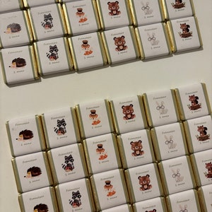 Könnte beinhalten: Klein verpackte Schokoladen mit Goldfolie. Jede Schokolade hat ein weißes Etikett mit einer Cartoon-Tierillustration und dem Text "Francesco 1 anno". Die Illustrationen zeigen einen Igel, einen Waschbären, einen Fuchs, einen Bären, ein Kaninchen und ein Eichhörnchen.
