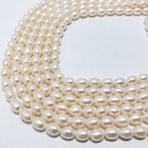 Bulk Bead Strands - Freshwater Big Rice Pearl Beads - 6mm by 9mm - 24 Strands - about 42 Beads