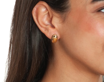 Egyptian Scarab Stud Earrings - Gold Finish