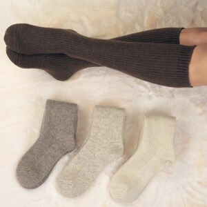 May include: Three pairs of socks, one brown pair of knee-high socks and two pairs of ankle socks, one gray and one white.