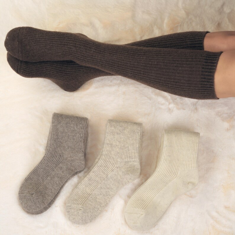 May include: Three pairs of socks, one brown pair of knee-high socks and two pairs of ankle socks, one gray and one white.