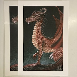 Drago medievale - Stampa fine art