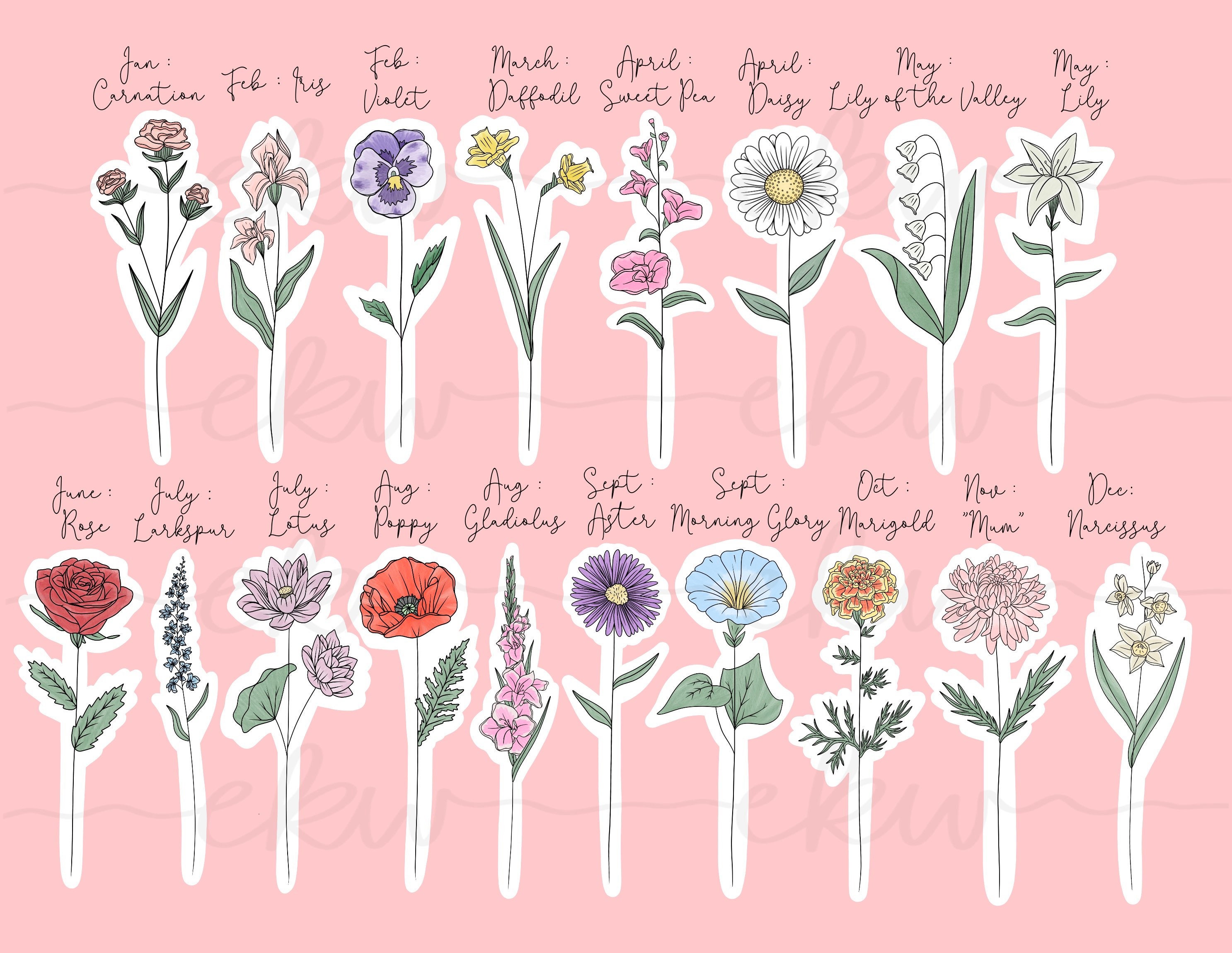 Single Birth Month Flower Digital File Etsy