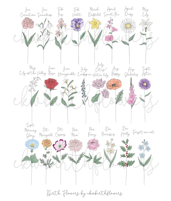 5-7 mois de naissance bouquet de fleurs Délai dexécution de - Etsy France