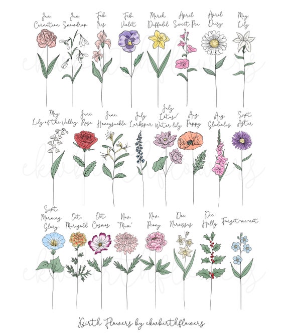  12 Birth Month Flower Stickers Birth Flower Decals